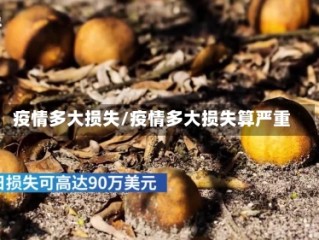 疫情多大损失/疫情多大损失算严重