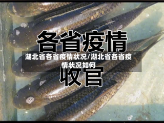 湖北省各省疫情状况/湖北省各省疫情状况如何