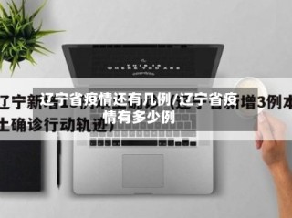 辽宁省疫情还有几例/辽宁省疫情有多少例