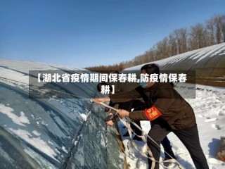 【湖北省疫情期间保春耕,防疫情保春耕】