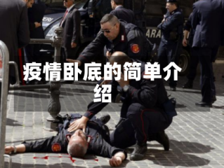 疫情卧底的简单介绍