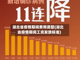 湖北省疫情期间费用调整(湖北省疫情期间工资发放标准)