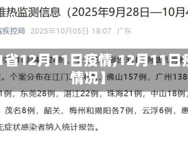 【31省12月11日疫情,12月11日疫情情况】
