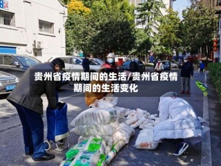 贵州省疫情期间的生活/贵州省疫情期间的生活变化