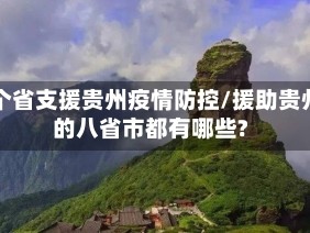 哪个省支援贵州疫情防控/援助贵州的八省市都有哪些?