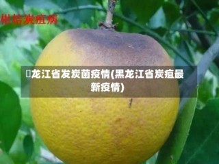 黒龙江省发炭菌疫情(黑龙江省炭疽最新疫情)