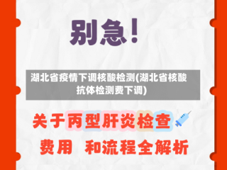 湖北省疫情下调核酸检测(湖北省核酸抗体检测费下调)