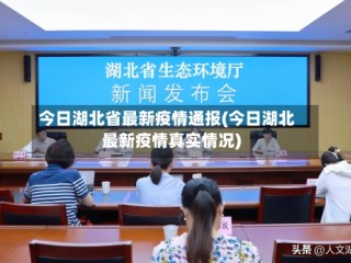 今日湖北省最新疫情通报(今日湖北最新疫情真实情况)