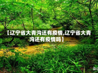 【辽宁省大青沟还有疫情,辽宁省大青沟还有疫情吗】