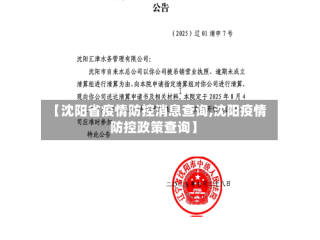 【沈阳省疫情防控消息查询,沈阳疫情防控政策查询】
