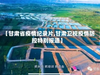 【甘肃省疫情纪录片,甘肃卫视疫情防控特别报道】