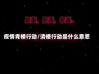 疫情青楼行动/清楼行动是什么意思