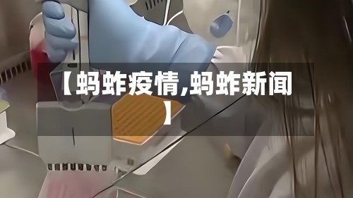 【蚂蚱疫情,蚂蚱新闻】