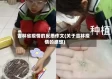 吉林省疫情的反思作文(关于吉林疫情的感想)