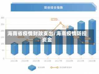 海南省疫情财政支出/海南疫情防控资金