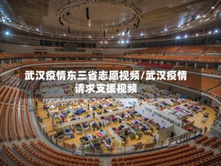 武汉疫情东三省志愿视频/武汉疫情请求支援视频