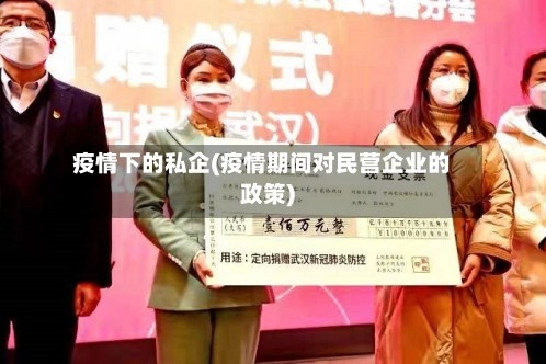 疫情下的私企(疫情期间对民营企业的政策)