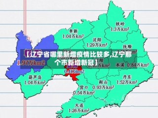 【辽宁省哪里新增疫情比较多,辽宁那个市新增新冠】