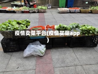 疫情卖菜平台(疫情买菜app)