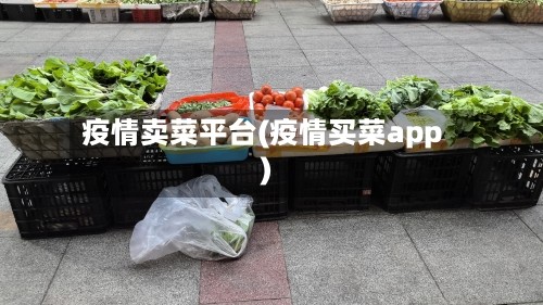 疫情卖菜平台(疫情买菜app)