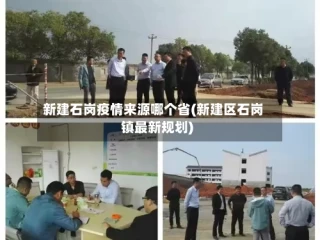 新建石岗疫情来源哪个省(新建区石岗镇最新规划)