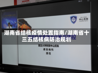 湖南省结核疫情处置指南/湖南省十三五结核病防治规划