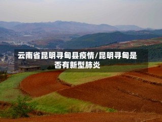 云南省昆明寻甸县疫情/昆明寻甸是否有新型肺炎