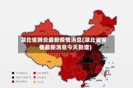 湖北省肺炎最新疫情消息(湖北省疫情最新消息今天新增)