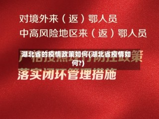 湖北省的疫情政策如何(湖北省疫情如何?)
