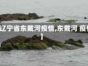 【辽宁省东戴河疫情,东戴河 疫情】
