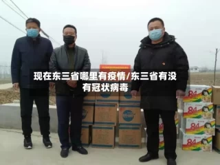 现在东三省哪里有疫情/东三省有没有冠状病毒