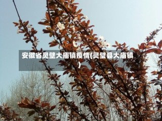 安徽省灵壁大庙镇疫情(灵璧县大庙镇)