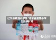辽宁省疫情小学生/辽宁省疫情小学生开学时间