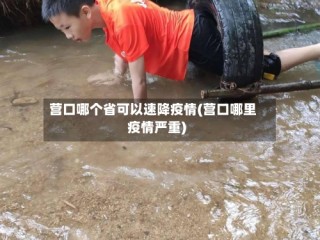 营口哪个省可以速降疫情(营口哪里疫情严重)