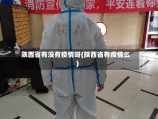 陕西省有没有疫情呀(陕西省有疫情么)