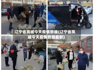 辽宁省凤城今天疫情数据(辽宁省凤城今天疫情数据最新)