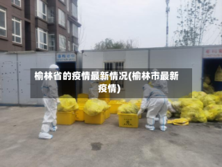 榆林省的疫情最新情况(榆林市最新疫情)