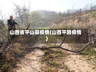 山西省平山县疫情(山西平路疫情)