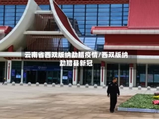 云南省西双版纳勐腊疫情/西双版纳勐腊县新冠