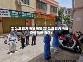 怎么查看海南省疫情(怎么查看海南省疫情最新消息)