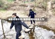 骗取疫情补贴/骗取疫情补贴怎么办