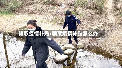 骗取疫情补贴/骗取疫情补贴怎么办