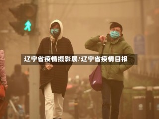 辽宁省疫情摄影展/辽宁省疫情日报