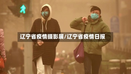 辽宁省疫情摄影展/辽宁省疫情日报