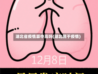 湖北省疫情算中高吗(湖北属于疫情)