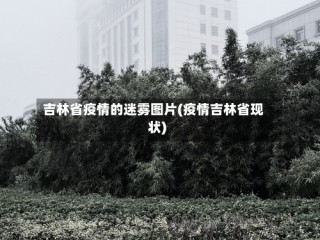 吉林省疫情的迷雾图片(疫情吉林省现状)