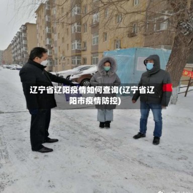 辽宁省辽阳疫情如何查询(辽宁省辽阳市疫情防控)