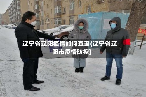 辽宁省辽阳疫情如何查询(辽宁省辽阳市疫情防控)