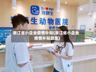 浙江省小企业疫情补贴(浙江省小企业疫情补贴政策)
