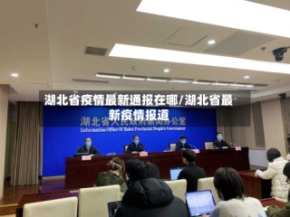 湖北省疫情最新通报在哪/湖北省最新疫情报道
